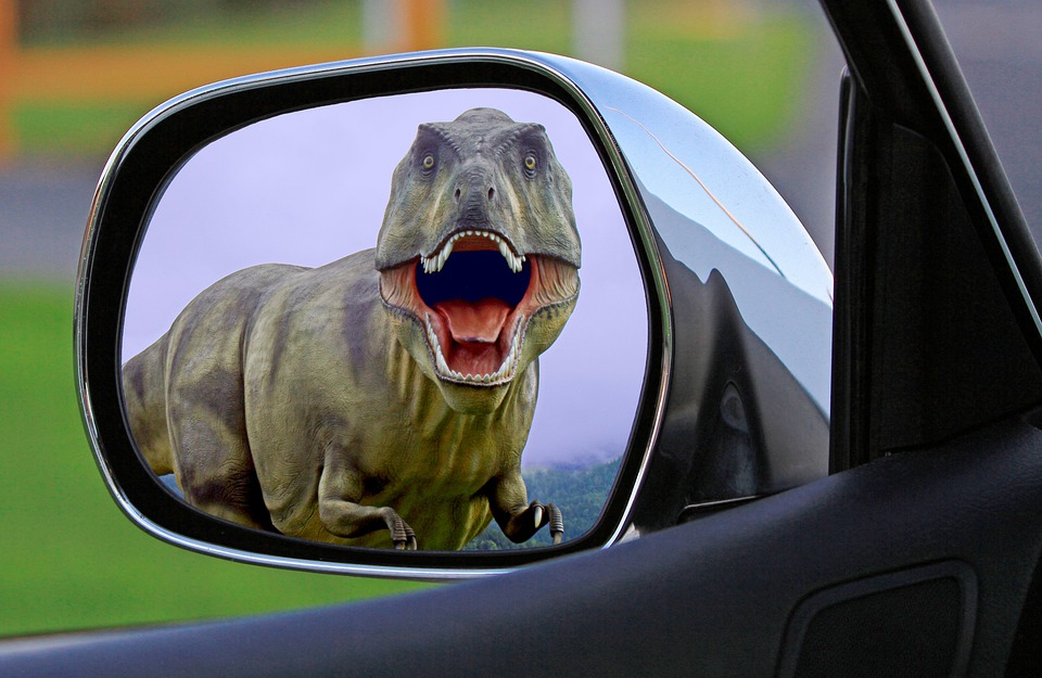 Dinossauro, Espelho, Espelho Retrovisor, Bundas